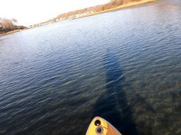 Scudder Park