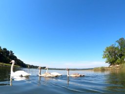 Stony Brook harbor