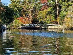 Timber Point County Park