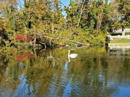 Timber Point County Park